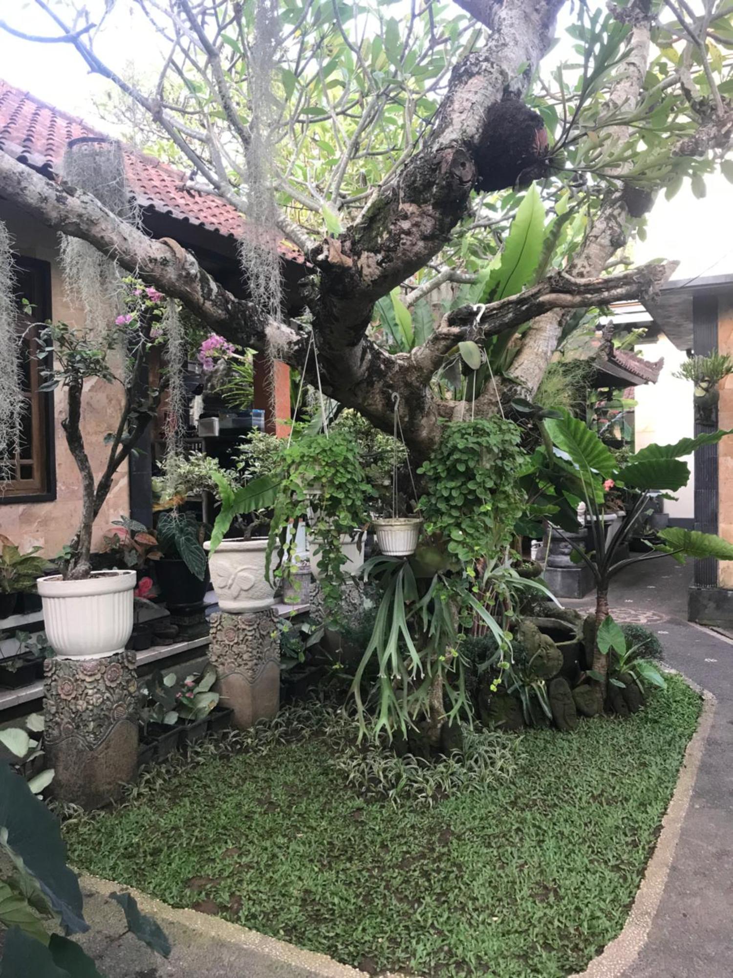 Gus Arditya Homestay Ubud  Ngoại thất bức ảnh