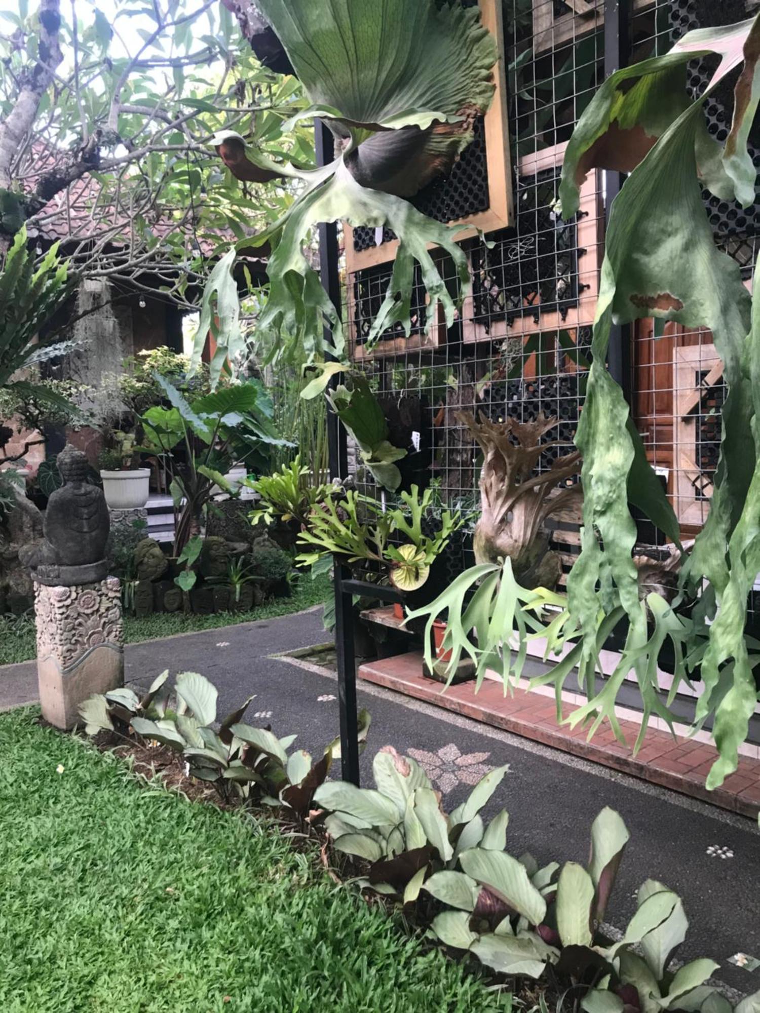 Gus Arditya Homestay Ubud  Ngoại thất bức ảnh