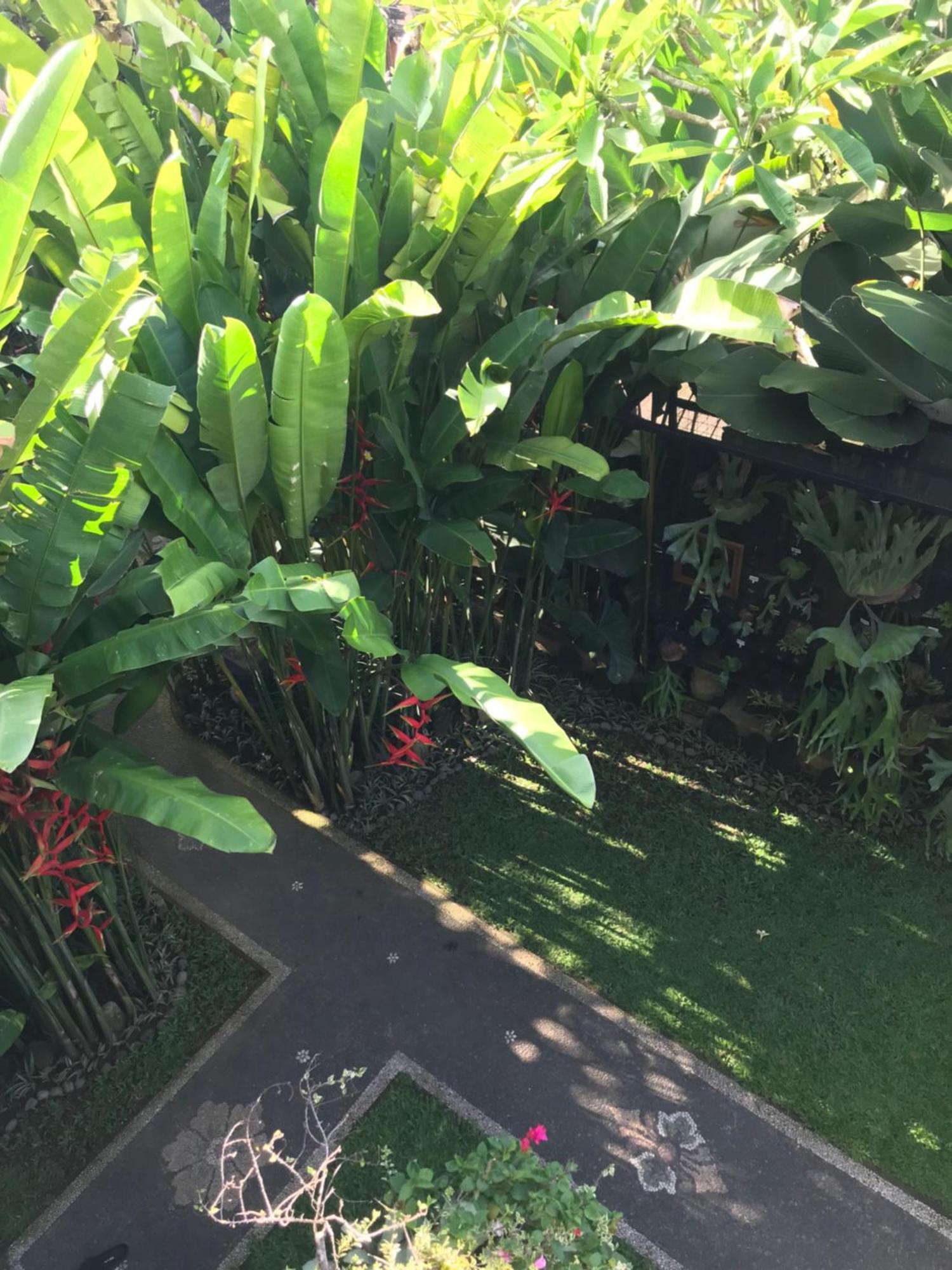 Gus Arditya Homestay Ubud  Ngoại thất bức ảnh