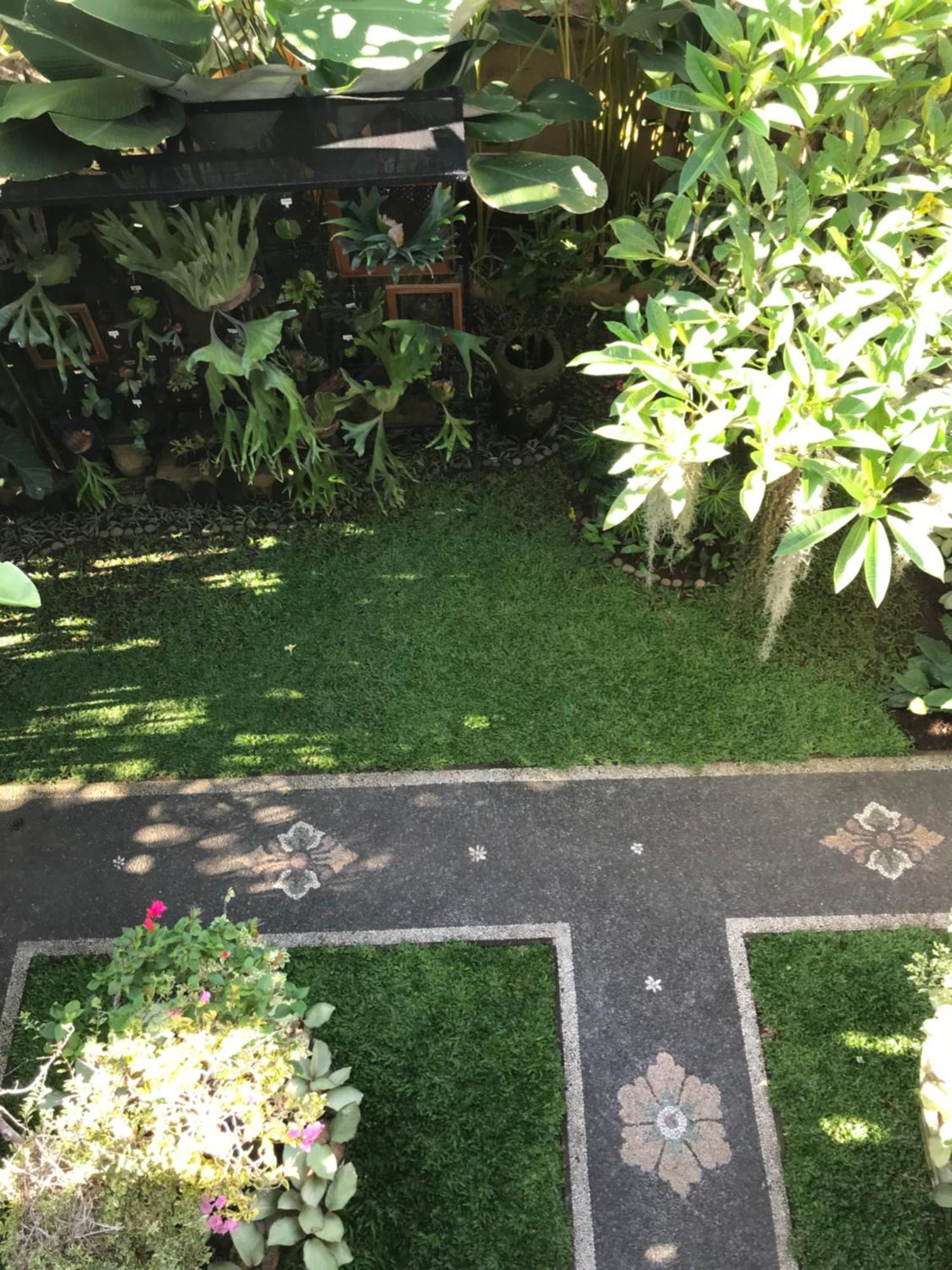 Gus Arditya Homestay Ubud  Ngoại thất bức ảnh