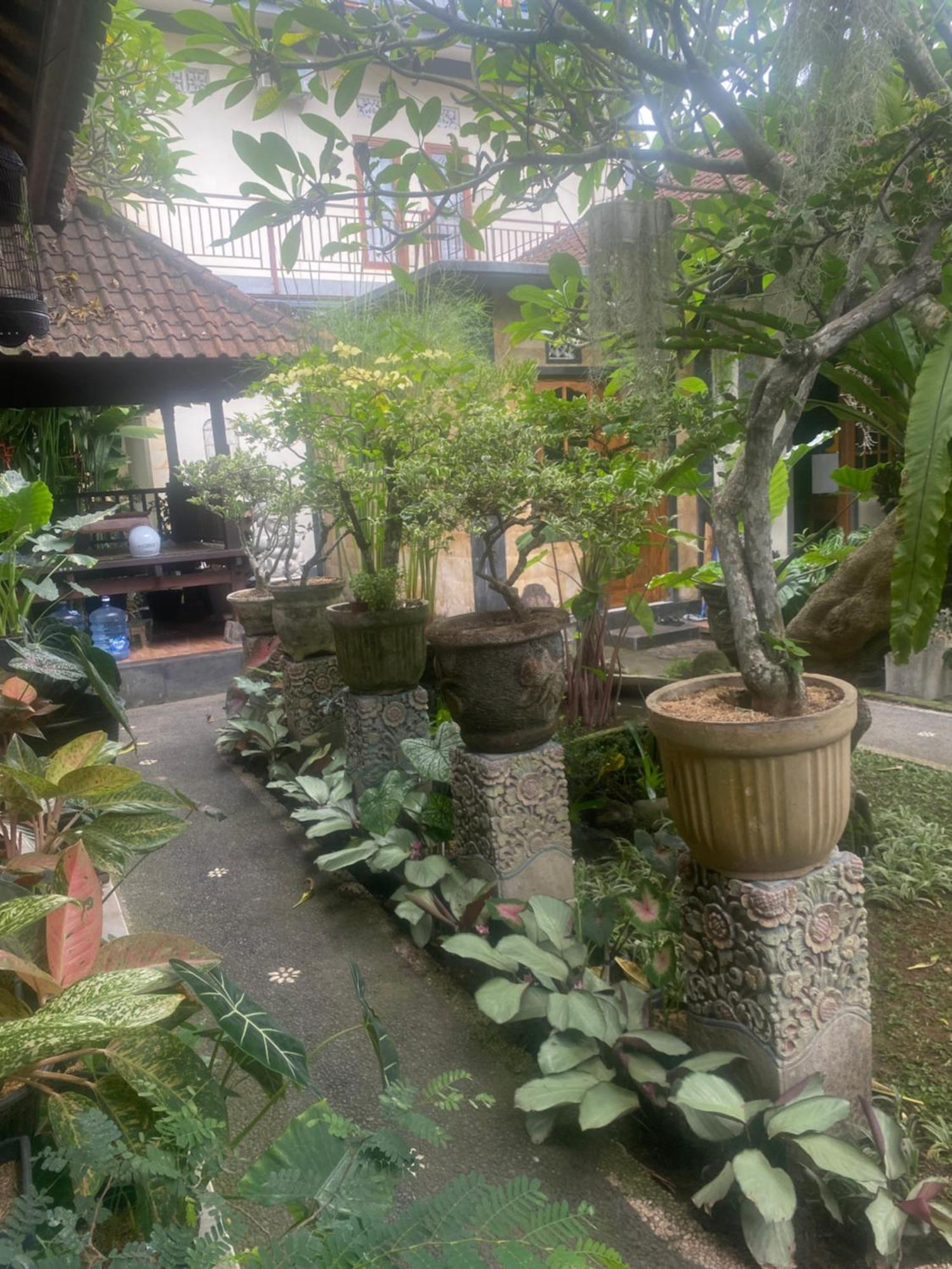 Gus Arditya Homestay Ubud  Ngoại thất bức ảnh