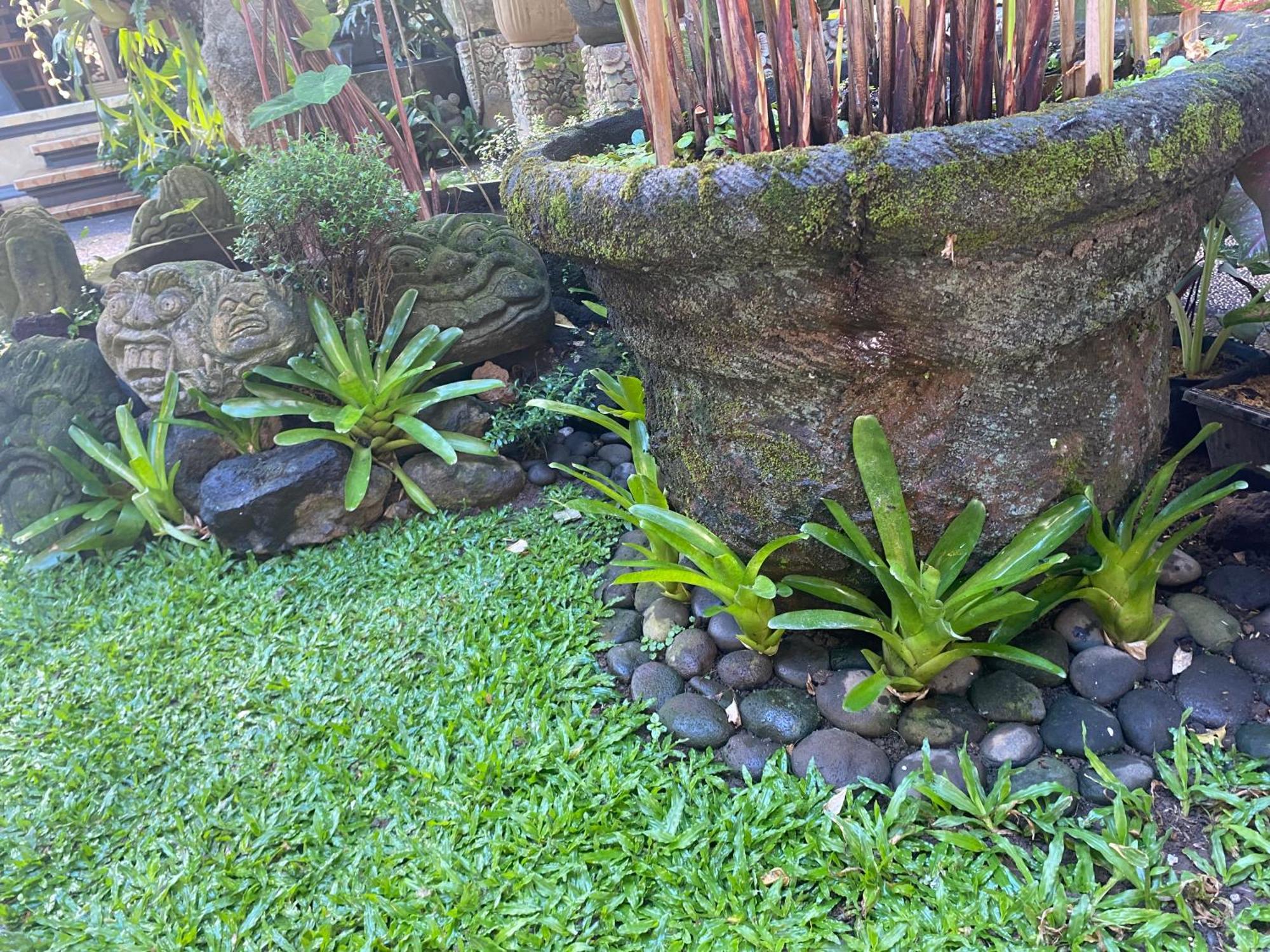 Gus Arditya Homestay Ubud  Ngoại thất bức ảnh