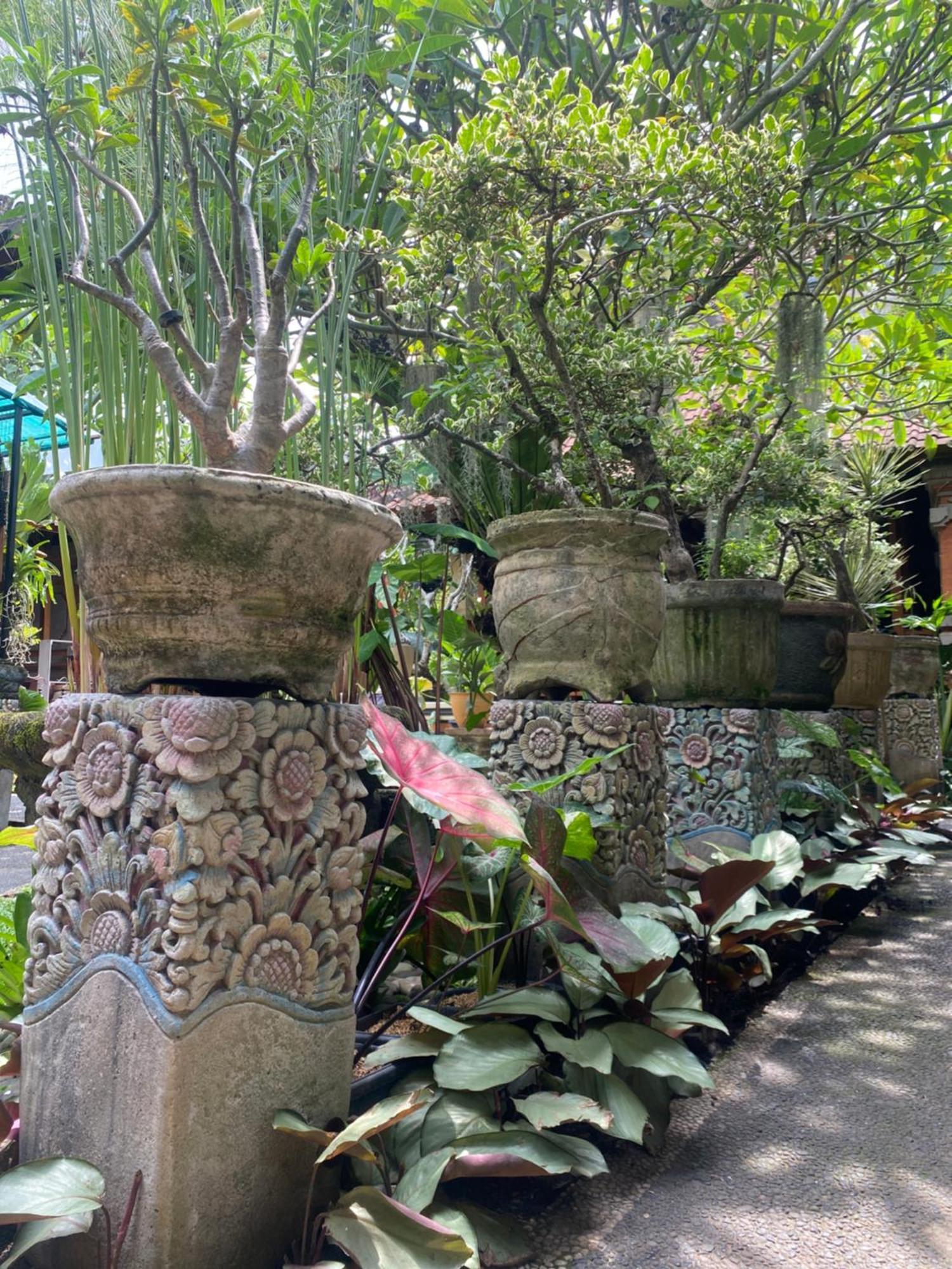 Gus Arditya Homestay Ubud  Ngoại thất bức ảnh