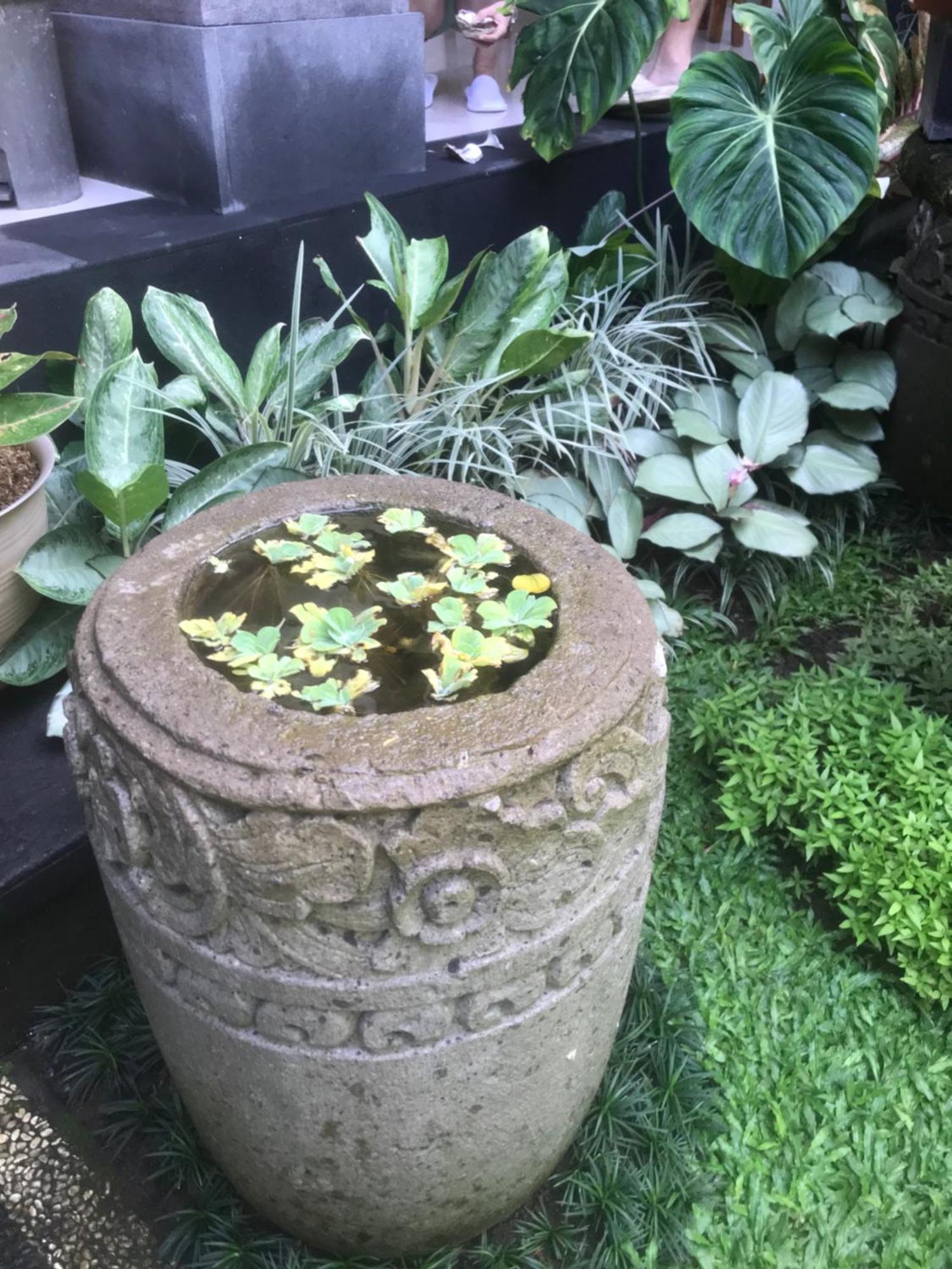 Gus Arditya Homestay Ubud  Ngoại thất bức ảnh