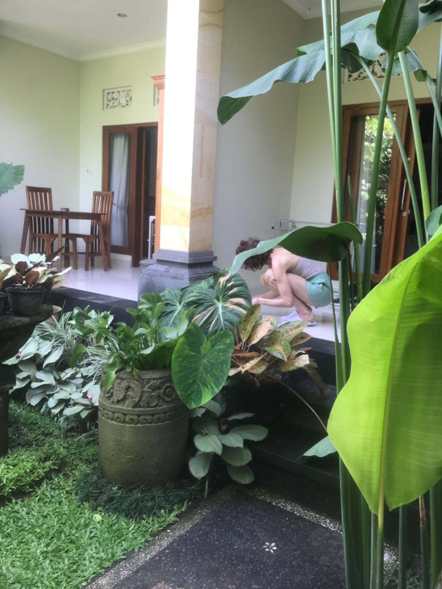 Gus Arditya Homestay Ubud  Ngoại thất bức ảnh